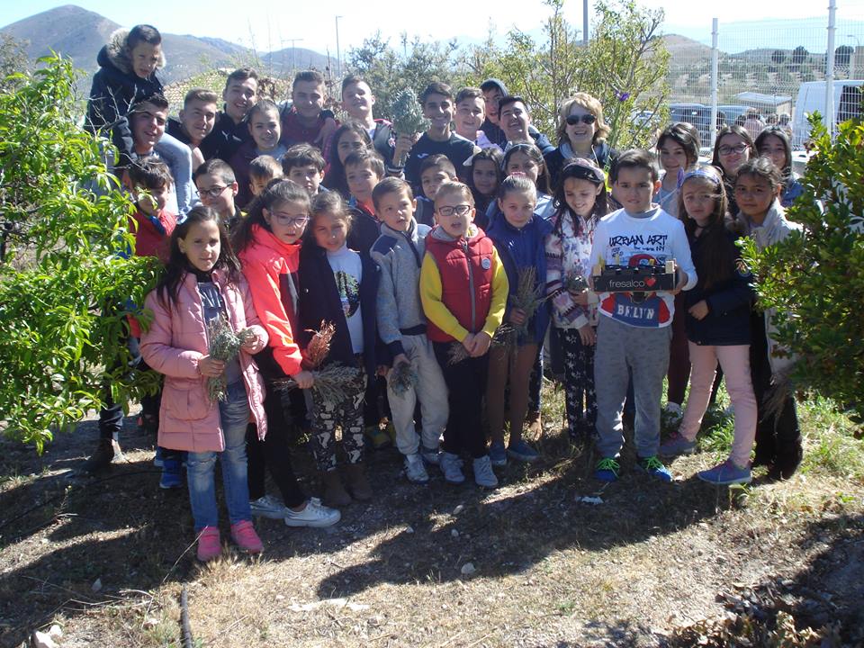 Taller de Educación Ambiental