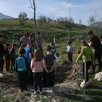 Jornadas de Reforestación