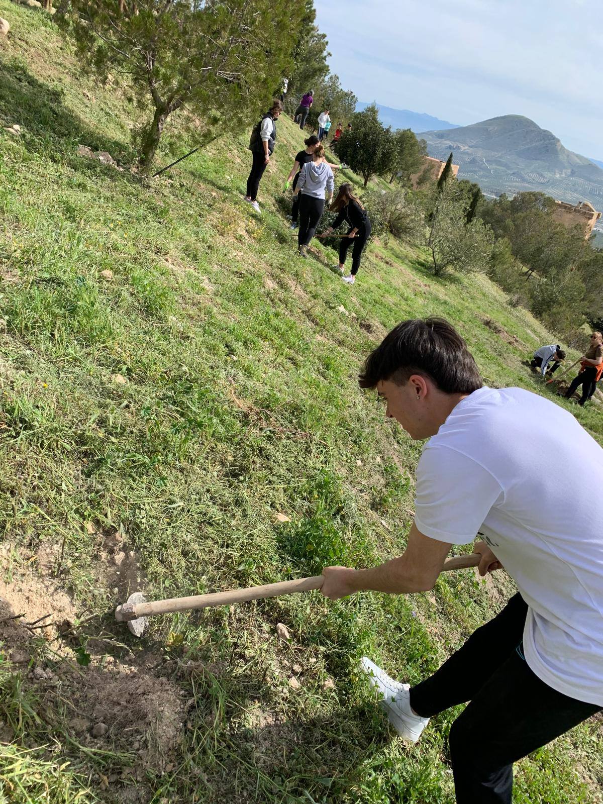 Plantación de Pinos en Trascastillo