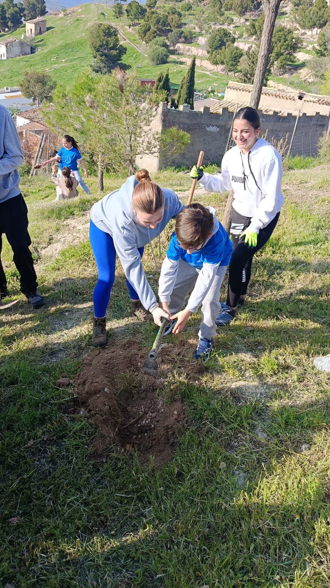 Plantación de Pinos en Trascastillo
