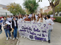Día Internacional de la Eliminación de la Violencia contra la Mujer